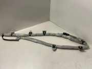 Dach SRS rechts BMW X3 (E83) 2.0 d 1021969720048 84342022504A