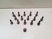 Radschraubensatz POLESTAR 2 (P) EV