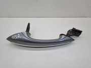 Türaußengriff hinten rechts BMW 5 Gran Turismo (F07) 530 d xDrive 7305284