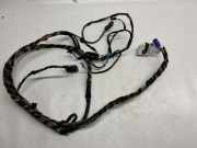 Kabelbaum BMW 3 (F30, F80) 328 i 9365055