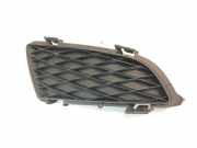 Gitter vorne unten MAZDA 6 Sedan (GG) 2.0 DI GJ6A50C11