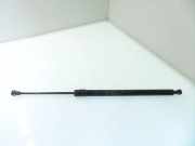 Heckklappe Gasdruckfeder links RENAULT MODUS / GRAND MODUS (F/JP0_) 1.5 dCi (JP0G, JP0H)