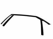 Türdichtungsgummi hinten links CITROËN DS5 1.6 HDi 115 99687802380