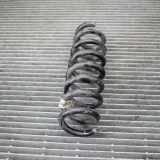 Federblatt links hinten BMW 1er (F20)