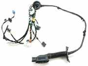 Kabel Tür VW Passat B8 Variant (3G) 3G1971121DH