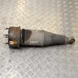 Stoßdämpfer links hinten Jaguar XJ (X350, X358) F308609101