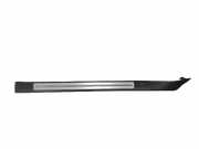 Innenschwellenzierleiste hinten links AUDI A8 D3 (4E2, 4E8) 3.0 4E4853995