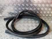 Dichtung für Koffer-/Laderaumklappe Dodge Nitro ()