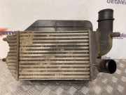 Ladeluftkühler Fiat Ducato Kasten (250) 1307012080