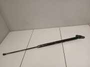 Heckklappendämpfer links Honda Civic VIII (FN, FK)