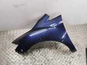 Kotflügel vorne links