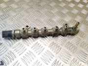 Einspritzleiste Renault Espace IV (K) 0445214079