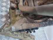 Motor ohne Anbauteile (Benzin) Peugeot 107 () 5038520