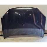 Motorhaube VW GOLF PLUS (5M1, 521) 1.4 16V