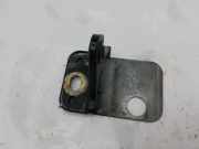 Türscharnier hinten rechts Audi A6 (4F, C6)