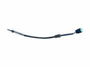 Abgastemperatursensor BMW X5 (E70) xDrive 35 d 7809158