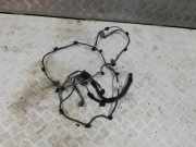 Kabelbaum Citroen C4 II Picasso () 9807206480