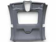 Dachverkleidung AUDI A5 (F53) 2.0 TFSI quattro 8W6867506C