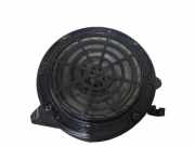 Türlautsprecher vorne links