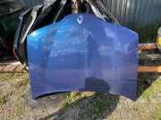 Motorhaube RENAULT LAGUNA II (BG0/1_) 1.9 dCi (BG08, BG0G)
