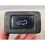 Heckklappenöffnungstaste VOLVO V70 III (BW) 1.6 DRIVe / D2 5108K3