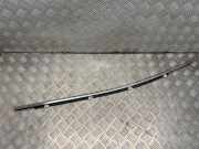 Türverkleidung links hinten Hyundai Santa Fe III (DM)