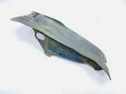 Unterfahrschutz Audi TT (8J) 1K0511539