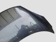 Motorhaube RENAULT GRAND SCÉNIC III (JZ0/1_) 1.6 dCi (JZ00, JZ12)