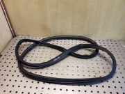 Türdichtung Toyota Corolla Verso (E12J1)