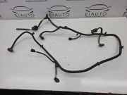 Kabelbaum Hinteren Parksensoren HYUNDAI SANTA FÉ III (DM) 2.2 CRDi 918802W150