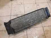 Ladeluftkühler VW CRAFTER 30-50 Flatbed (2F_) 2.5 TDI 2E0145804 9065000000