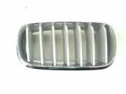 Vorderer oberer Gitter BMW X5 (F15, F85) xDrive 30 d 7316076 7316058