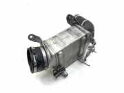 Ladeluftkühler BMW 7 (F01, F02) 750 i 1751757540503 06117575403