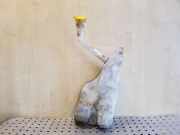 Fensterwaschtank RENAULT MEGANE III Grandtour (KZ0/1) 1.5 dCi (KZ1M, KZ1W) 289100033R 289100014R