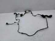 Türverkabelung hinten links FORD GALAXY III (CK) 2.0 TDCi