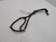 Kabelbaum Hinteren Parksensoren NISSAN X-TRAIL (T31) 2.0 dCi