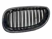 Vorderer oberer Gitter BMW 5 Touring (E61) 520 d 7065701
