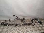 Türverkabelung hinten links BMW 5 (F10) 525 d 9256017