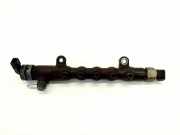 Einspritzleiste Toyota RAV 4 IV (A4)