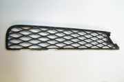 Gitter Grill vorne rechts MERCEDES-BENZ R (W251, V251) R 320 CDI 4-matic (251.022, 251.122) A2518850253