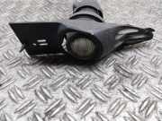 Nebelscheinwerfer links BMW 7 (E65, E66, E67) 730 d
