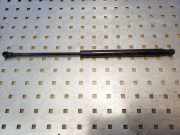 Heckklappe Gasdruckfeder links FIAT GRANDE PUNTO (199_) 1.2 51778432