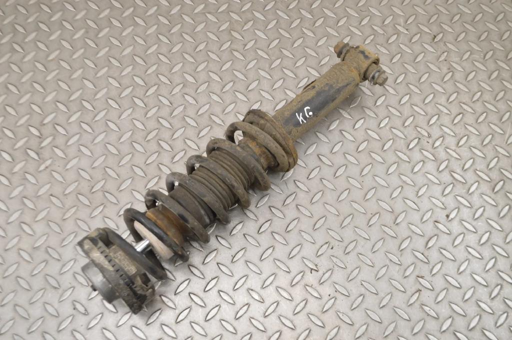 Stoßdämpfer hinten links BMW X3 (F25) xDrive 30 d 6796422