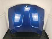 Motorhaube BMW X3 (E83) xDrive 30 d 41003449411