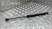 Heckklappendämpfer links Audi Q5 (8R) 8R0827552