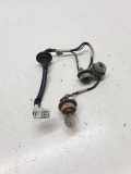 Xenon-Lampe NISSAN PATHFINDER III (R51) 2.5 dCi 4WD