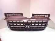 Gitter HYUNDAI TRAJET (FO) 2.0 CRDi 863523A000