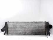 Ladeluftkühler Renault Trafic II Kasten (FL) 8200411160