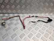 Rücklichtkontakte LEXUS RX (_U3_) 400h AWD 8216448011