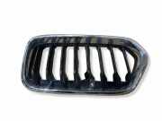 Gitter Grill vorne links BMW X2 (F39) X2 xDrive28i 7424778